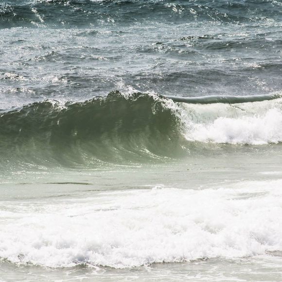 Meet your Posher, Jacob - Picture 1 of 1